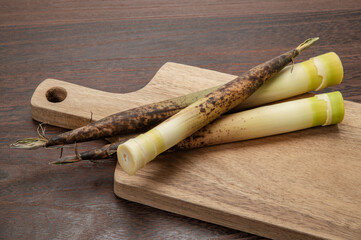 真竹、タケノコ