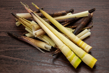 真竹、タケノコ