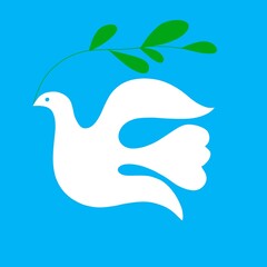 Obraz premium Colomba bianca pasquale con un ramo di oliva vola nel cielo azzurro. Simbolo di pace. Amore, fede, speranza. Innocenza, purezza 