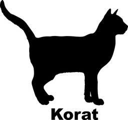 Korat Cat silhouette cat breeds