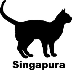 Singapura Cat silhouette cat breeds