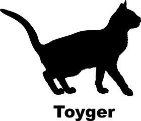 Toyger Cat silhouette cat breeds