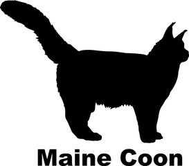 Maine Coon Cat silhouette cat breeds
