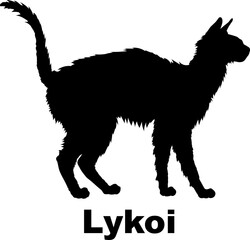  Lykoi Cat silhouette cat breeds