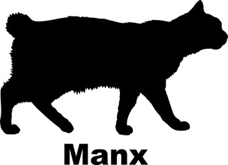 Manx Cat silhouette cat breeds