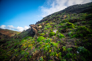 Madeira - Ponto do Rosto