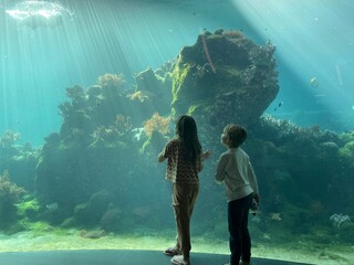 kids watching fish in an aquarium