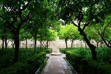 Alcazar de los Reyes Cristianos garden in Cordoba, Andalucia, Spain