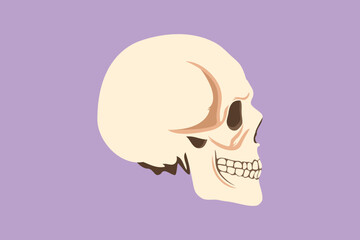 Graphic flat design drawing stylized white skull logo, icon, label, symbol. Human head bone. Skeleton medical education item. Sketch anatomical skulls in side view. Cartoon style vector illustration