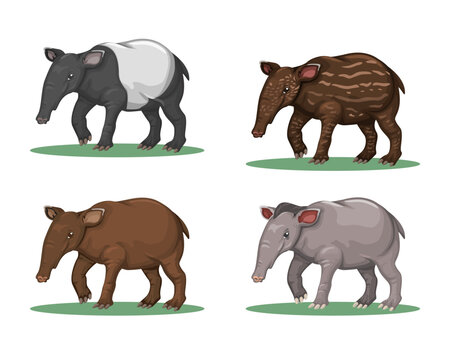 Tapir Animal Species Character Set Cartoon illustration Vector
