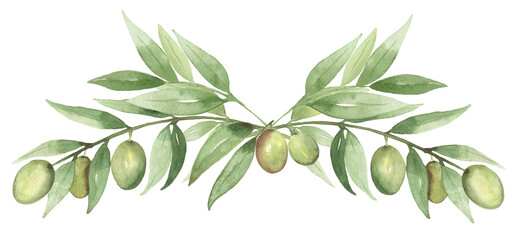 Watercolor hand drawn olive leaves and berry illustration, olives decor clipart, delicate floral bouquet clip art - 612009152
