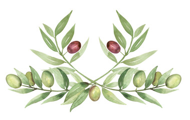 Watercolor hand drawn olive leaves and berry illustration, olives decor clipart, delicate floral bouquet clip art