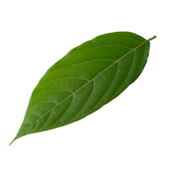 Green apple with green leaf and cut slice with seed isolated on transparent background.