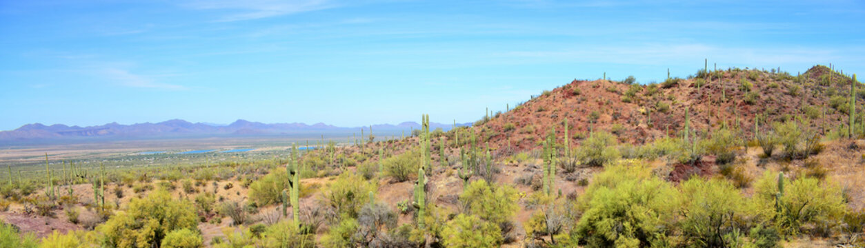 Sonora Desert Arizona