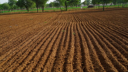 Plowed field with planted and empty striped in summer time. Experimental agriculture with farming...