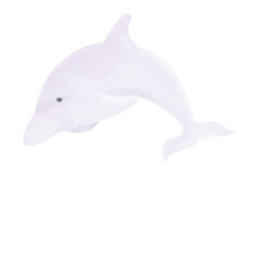 Obraz premium Dolphin5