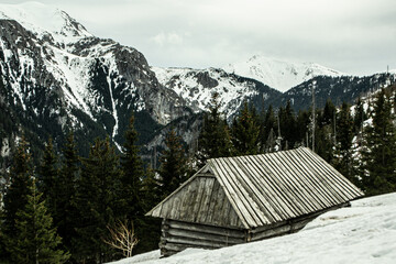 Szałas, góralska drewniana chata na Polanie Stoły w Dolinie Kościeliskiej w Tatrach,...