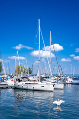 A small marina in Bregenz on Lake Constance