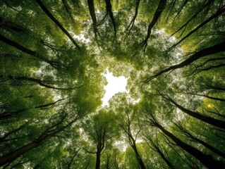 Circle of Trees in Forest -ai generated