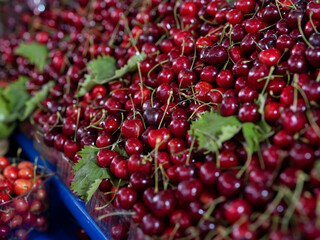 fresh cherries at the local market