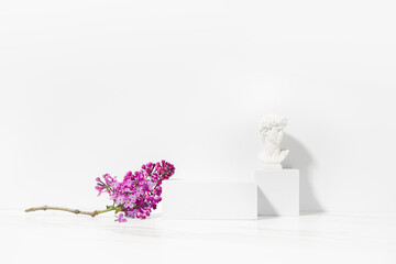 Minimal elegance scene for beauty cosmetic product presentation made with white cubes and lilac flowers branch.