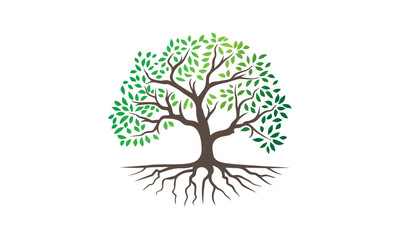 Tree vector illustrations roots mangrove tree vector isolated