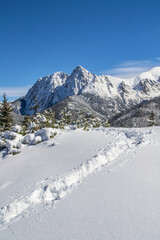 Fototapeta na wymiar Tatry zima góry w śniegu, Giewont, szlak, ścieżka, Tatry Zachodnie, Tatrzański Park Narodowy, góra, góry, las, kościelisko, zakopane