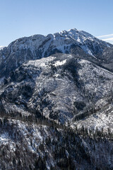 Tatry zima góry w śniegu, Podhale, ferie, Tatry Zachodnie, Tatrzański Park Narodowy, góra, góry, las, Kościelisko, zakopane