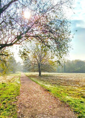 path in autumn park