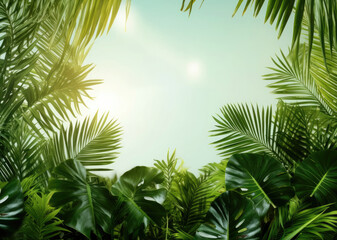 Banner of summer backrgound with palm tree leaves