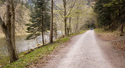 Fototapeta na wymiar A path by the Dunajec River in Pieniny Mountains, Poland.