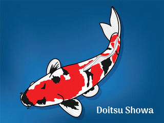 Vector image of Fancy carp or "koi". This's Varieties are called "Doitsu Showa". Illustration for children's learning