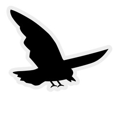 Bird Silhouette with outline