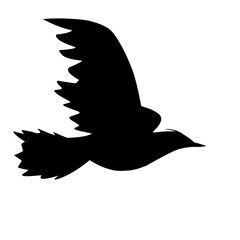 Bird Silhouette illustration