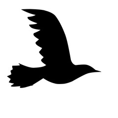 Bird Silhouette illustration