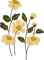 flower hand drawing illustration