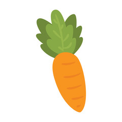 Single carrot illustration on a white background