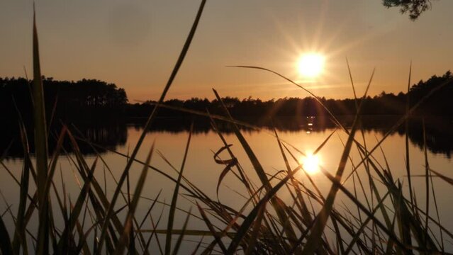 Golden sunset by the lake. Beautiful sunset by the lake. The low sun reflects off the water. Soft selective focus