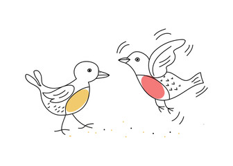 Birds, doodle style drawings. Abstract birds. Vector illustration on white isolated background.