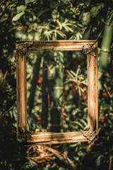A wooden frame hangs in the middle of a forest