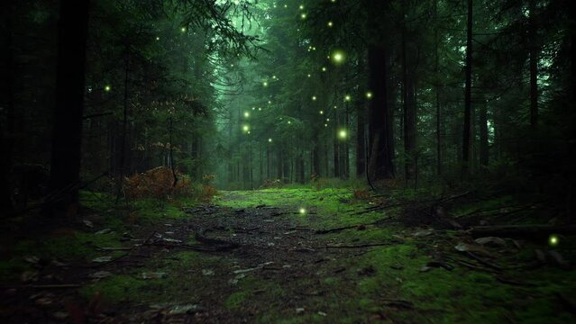Glowing firefly lights in magic foggy green forest.