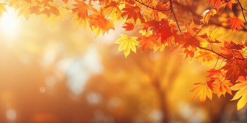Fototapeta na wymiar Herbstblätter Gelb und Orange im Gegenlicht Nahaufnahme, ai generativ