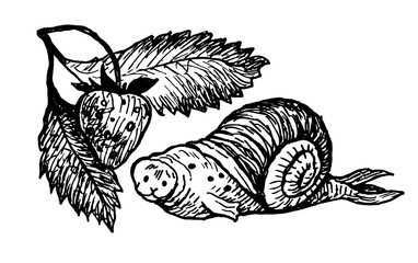 Tattoo seal, snail, hunting, strawberry