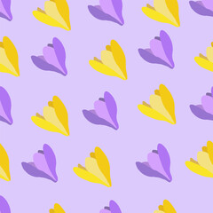 Collection of crocuses and saffrons. A set of spring purple, yellow and white crocuses. Vector illustration of beautiful multicolored flowers