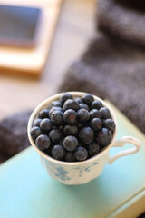 Cup of blueberries, set of books, phone, eyeglasses, lit candles and blanket on the table. Hygge at home. Selective focus.