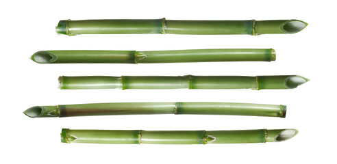 Green bamboo sticks, set sharp stake isolated on white