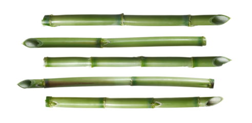 Green bamboo sticks, set sharp stake isolated on white