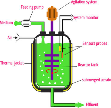 Scientific Design of Bioreactors: Creating a Biologically Active Environmental System.Vector illustration
