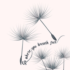 Fashion vector illustration dandelion seeds go where you breath free - 612063190
