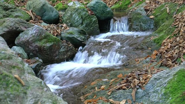Valley of Mt. Buko in Chichibu, Saitama, Japan